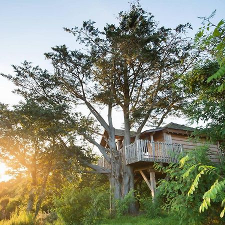 La Gree Des Landes - Eco-Hotel-Spa Yves Rocher La Gacilly Eksteriør bilde