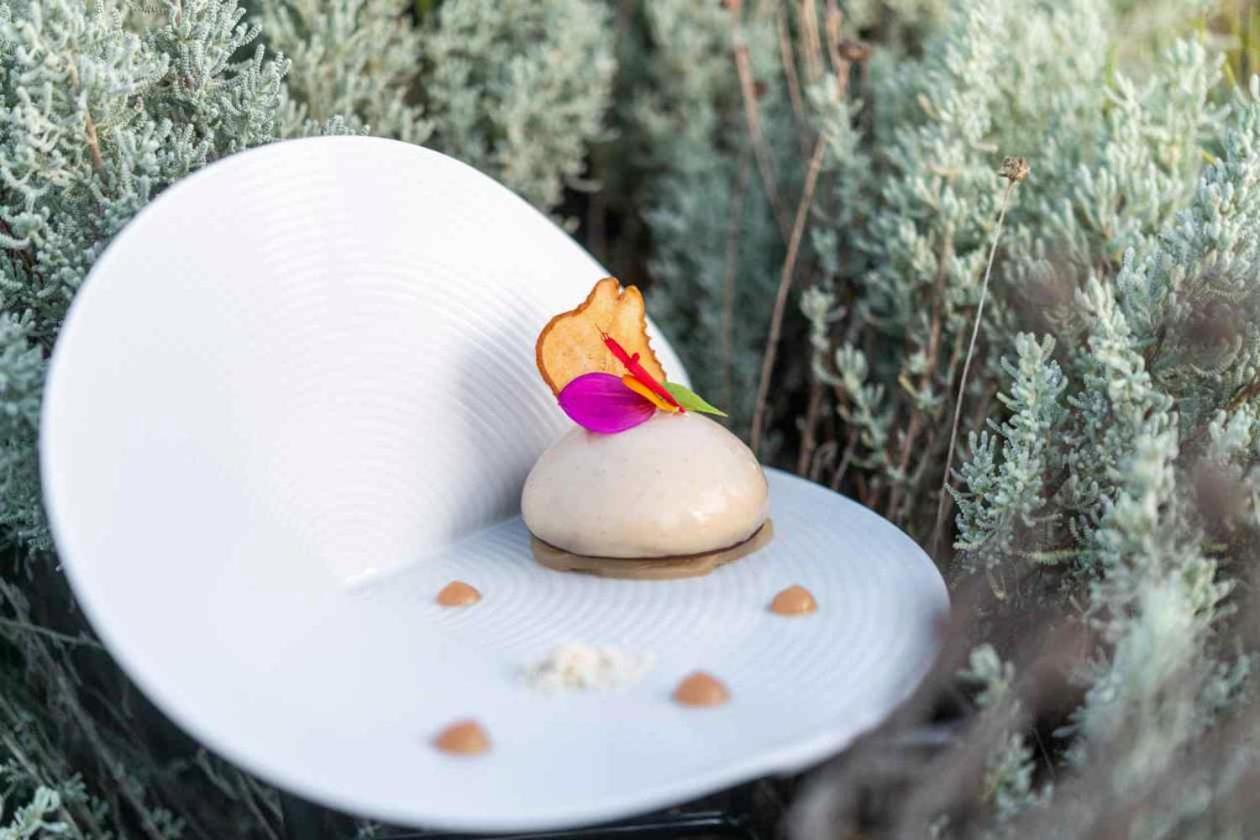 La Gree Des Landes - Eco-Hotel-Spa Yves Rocher La Gacilly Eksteriør bilde