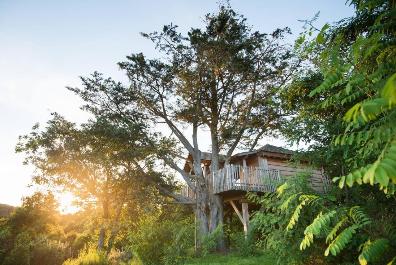 La Gree Des Landes - Eco-Hotel-Spa Yves Rocher La Gacilly Eksteriør bilde